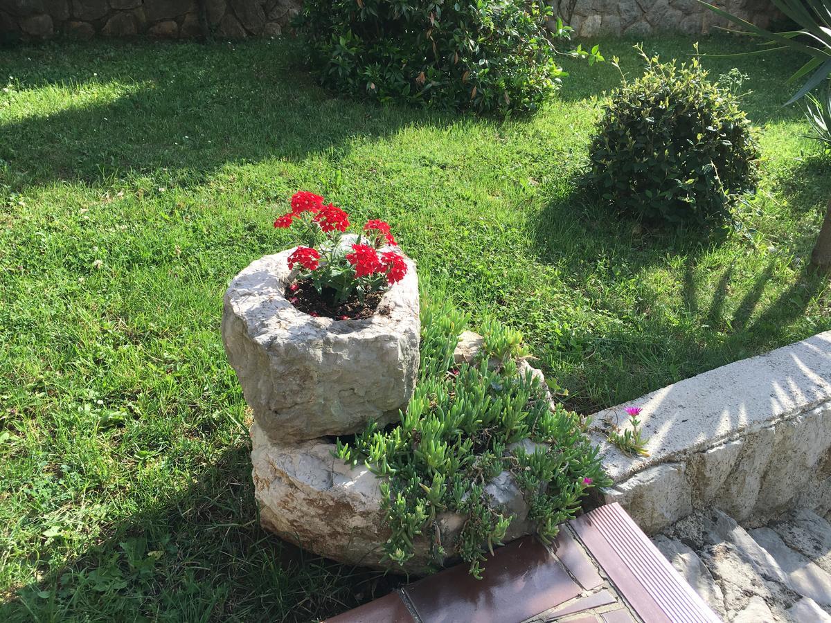 Apartman "Ela" نجيفيش المظهر الخارجي الصورة
